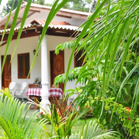 Sigiriya Amenity Home Stay Ngoại thất bức ảnh
