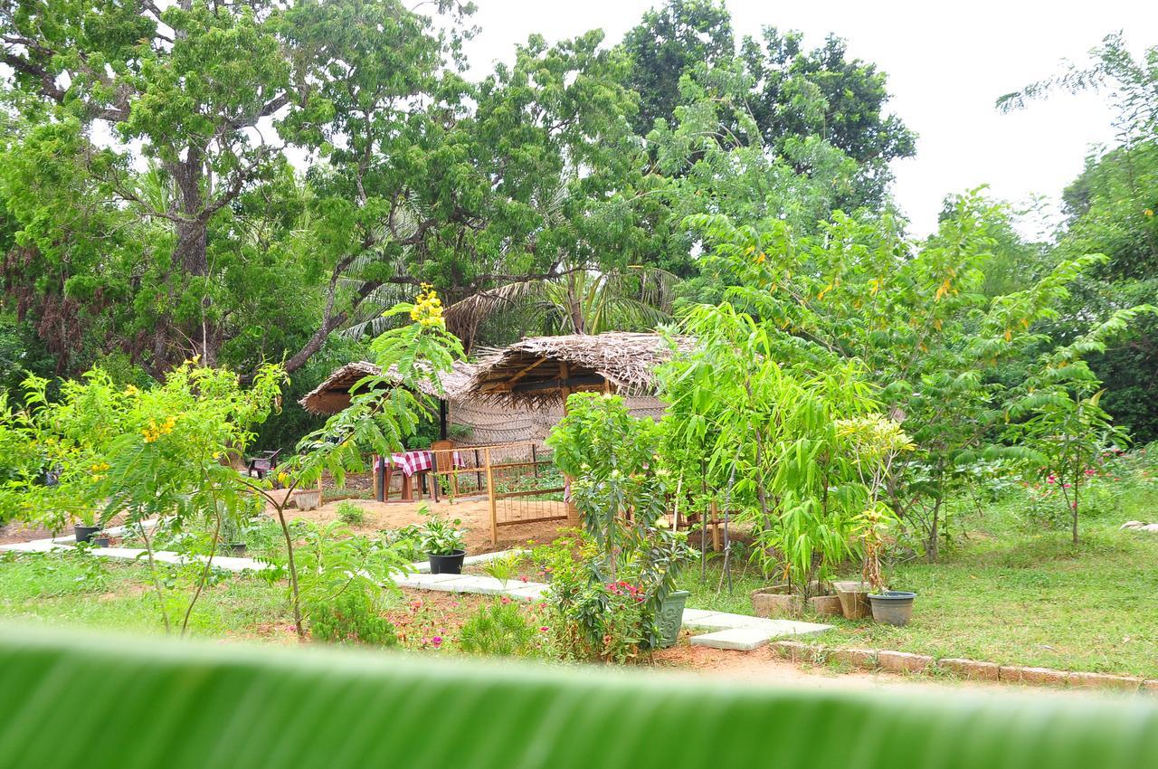 Sigiriya Amenity Home Stay Ngoại thất bức ảnh