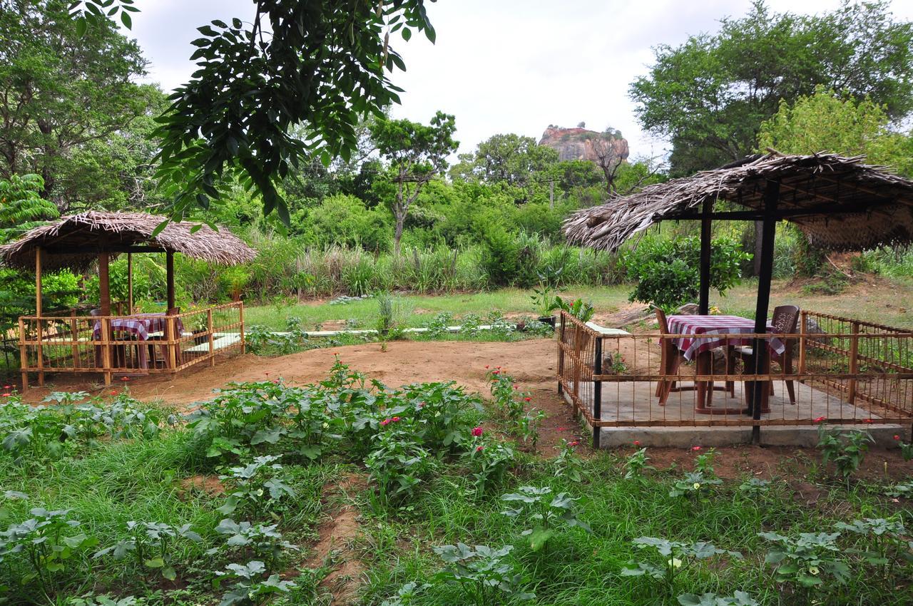 Sigiriya Amenity Home Stay Ngoại thất bức ảnh